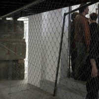 http://dejodelacombe.com/files/gimgs/th-2_DSC_0043.jpg