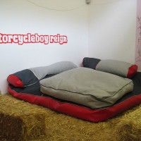 http://dejodelacombe.com/files/gimgs/th-2_FB03_magnin03.jpg