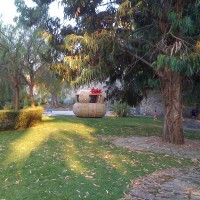 http://dejodelacombe.com/files/gimgs/th-2_IMG_0676.jpg