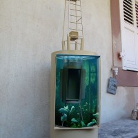 http://dejodelacombe.com/files/gimgs/th-2_IMG_17912.jpg