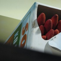 http://dejodelacombe.com/files/gimgs/th-2_IMG_3601.jpg