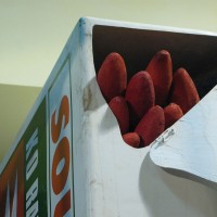 http://dejodelacombe.com/files/gimgs/th-2_IMG_3602.jpg