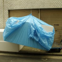http://dejodelacombe.com/files/gimgs/th-2_SNB11872.jpg