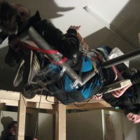 http://dejodelacombe.com/files/gimgs/th-2_frenchies-performance10.jpg